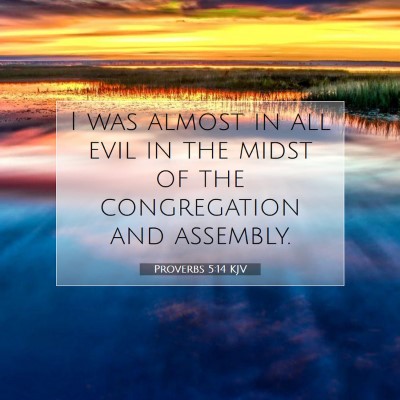 Picture 07 - Proverbs 5:14 KJV - I was almost in all evil in the midst of the - Bible Verse Picture