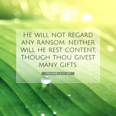 Picture 07 - Proverbs 6:35 KJV - He will not regard any ransom; neither will he - Bible Verse Picture