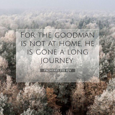 Picture 07 - Proverbs 7:19 KJV - For the goodman is not at home, he is gone a long - Bible Verse Picture