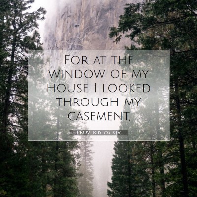 Picture 07 - Proverbs 7:6 KJV - For at the window of my house I looked through my - Bible Verse Picture