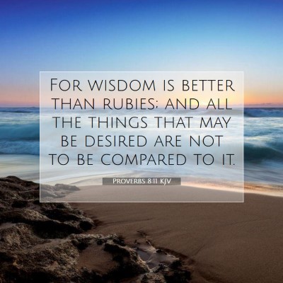Picture 07 - Proverbs 8:11 KJV - For wisdom is better than rubies; and all the - Bible Verse Picture