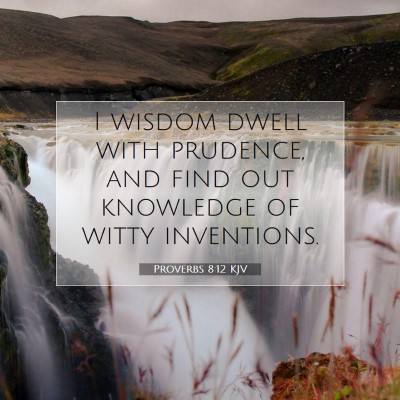 Picture 07 - Proverbs 8:12 KJV - I wisdom dwell with prudence, and find out - Bible Verse Picture