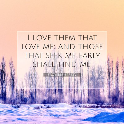Picture 07 - Proverbs 8:17 KJV - I love them that love me; and those that seek me - Bible Verse Picture