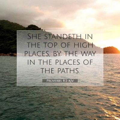 Picture 07 - Proverbs 8:2 KJV - She standeth in the top of high places, by the - Bible Verse Picture