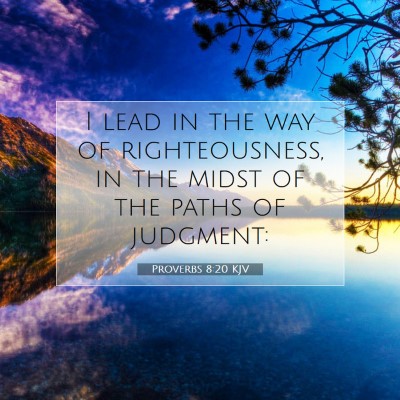 Picture 07 - Proverbs 8:20 KJV - I lead in the way of righteousness, in the midst - Bible Verse Picture