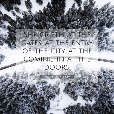 Picture 07 - Proverbs 8:3 KJV - She crieth at the gates, at the entry of the - Bible Verse Picture