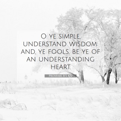 Picture 07 - Proverbs 8:5 KJV - O ye simple, understand wisdom: and, ye fools, be - Bible Verse Picture