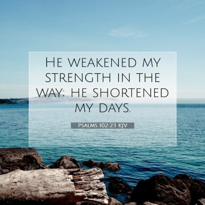 Picture 07 - Psalms 102:23 KJV - He weakened my strength in the way; he shortened - Bible Verse Picture