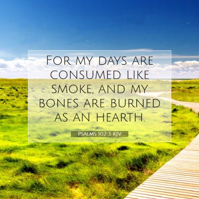 Picture 07 - Psalms 102:3 KJV - For my days are consumed like smoke, and my bones - Bible Verse Picture