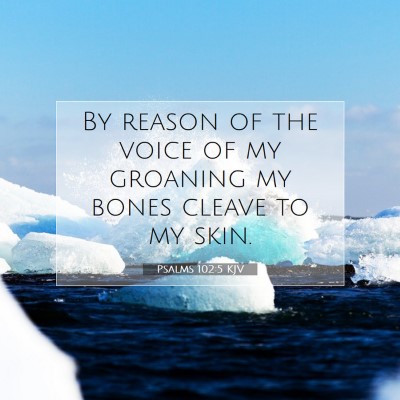 Picture 07 - Psalms 102:5 KJV - By reason of the voice of my groaning my bones - Bible Verse Picture
