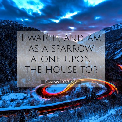 Picture 07 - Psalms 102:7 KJV - I watch, and am as a sparrow alone upon the house - Bible Verse Picture