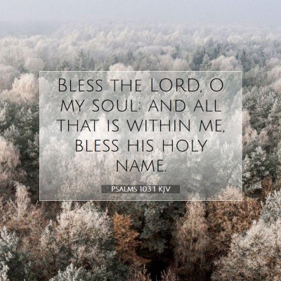 Picture 07 - Psalms 103:1 KJV - Bless the LORD, O my soul: and all that is within - Bible Verse Picture