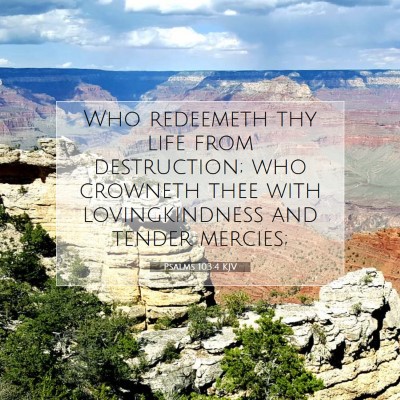 Picture 07 - Psalms 103:4 KJV - Who redeemeth thy life from destruction; who - Bible Verse Picture