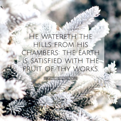 Picture 07 - Psalms 104:13 KJV - He watereth the hills from his chambers: the - Bible Verse Picture
