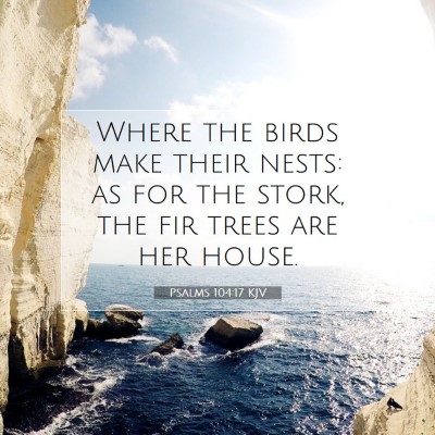 Picture 07 - Psalms 104:17 KJV - Where the birds make their nests: as for the - Bible Verse Picture