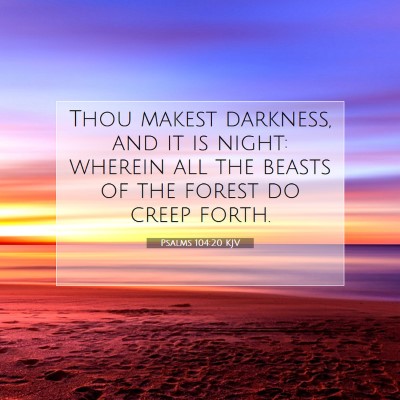 Picture 07 - Psalms 104:20 KJV - Thou makest darkness, and it is night: wherein - Bible Verse Picture