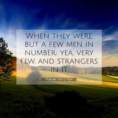 Picture 07 - Psalms 105:12 KJV - When they were but a few men in number; yea, very - Bible Verse Picture