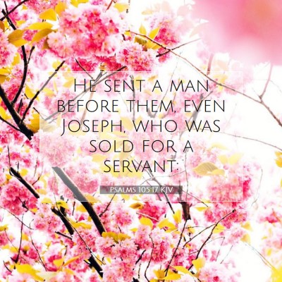 Picture 07 - Psalms 105:17 KJV - He sent a man before them, even Joseph, who was - Bible Verse Picture