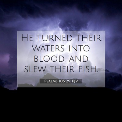 Picture 07 - Psalms 105:29 KJV - He turned their waters into blood, and slew their - Bible Verse Picture