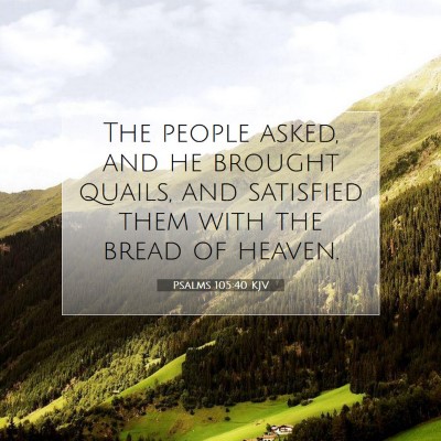 Picture 07 - Psalms 105:40 KJV - The people asked, and he brought quails, and - Bible Verse Picture