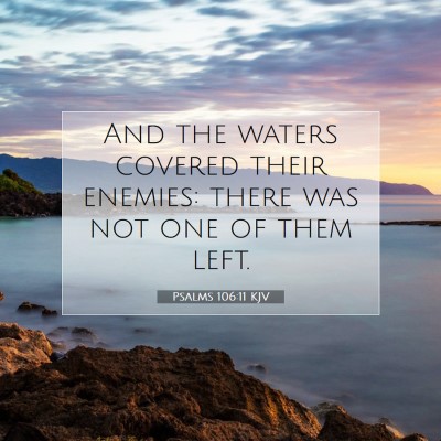 Picture 07 - Psalms 106:11 KJV - And the waters covered their enemies: there was - Bible Verse Picture