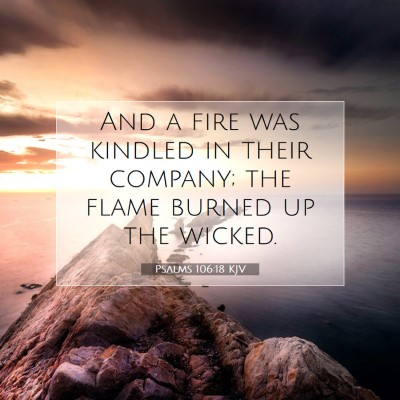 Picture 07 - Psalms 106:18 KJV - And a fire was kindled in their company; the - Bible Verse Picture