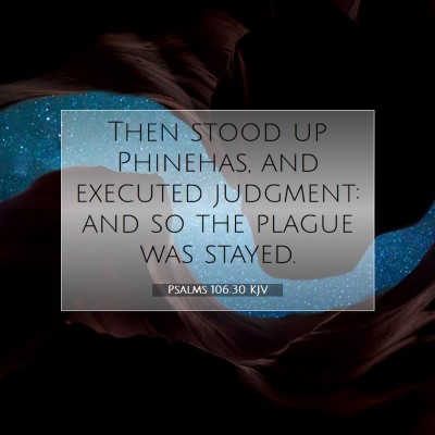 Picture 07 - Psalms 106:30 KJV - Then stood up Phinehas, and executed judgment: - Bible Verse Picture