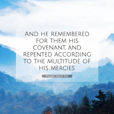 Picture 07 - Psalms 106:45 KJV - And he remembered for them his covenant, and - Bible Verse Picture