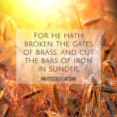 Picture 07 - Psalms 107:16 KJV - For he hath broken the gates of brass, and cut - Bible Verse Picture