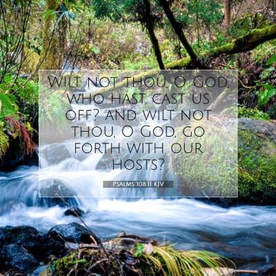 Picture 07 - Psalms 108:11 KJV - Wilt not thou, O God, who hast cast us off? and - Bible Verse Picture