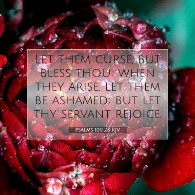 Picture 07 - Psalms 109:28 KJV - Let them curse, but bless thou: when they arise, - Bible Verse Picture
