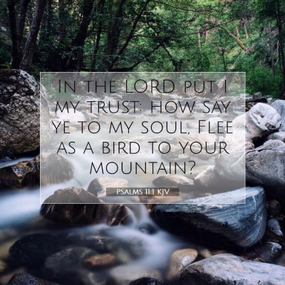Picture 07 - Psalms 11:1 KJV - In the LORD put I my trust: how say ye to my - Bible Verse Picture