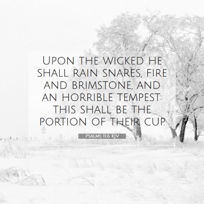Picture 07 - Psalms 11:6 KJV - Upon the wicked he shall rain snares, fire and - Bible Verse Picture