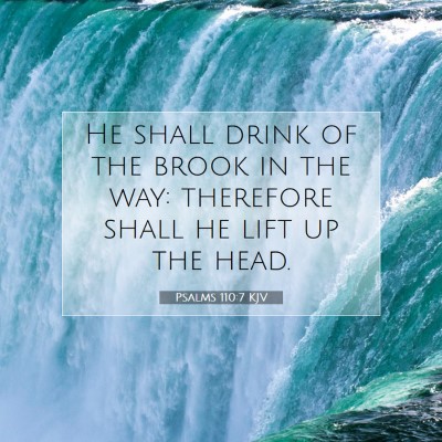 Picture 07 - Psalms 110:7 KJV - He shall drink of the brook in the way: therefore - Bible Verse Picture