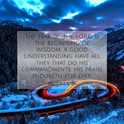 Picture 07 - Psalms 111:10 KJV - The fear of the LORD is the beginning of wisdom: - Bible Verse Picture