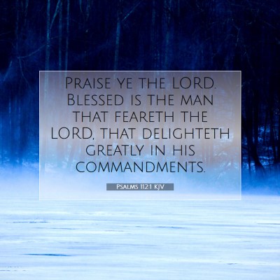 Picture 07 - Psalms 112:1 KJV - Praise ye the LORD. Blessed is the man that - Bible Verse Picture