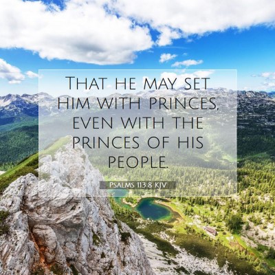 Picture 07 - Psalms 113:8 KJV - That he may set him with princes, even with the - Bible Verse Picture