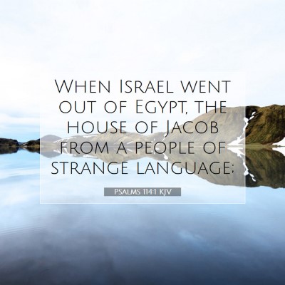 Picture 07 - Psalms 114:1 KJV - When Israel went out of Egypt, the house of Jacob - Bible Verse Picture