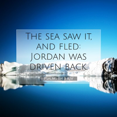 Picture 07 - Psalms 114:3 KJV - The sea saw it, and fled: Jordan was driven - Bible Verse Picture