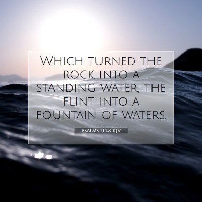 Picture 07 - Psalms 114:8 KJV - Which turned the rock into a standing water, the - Bible Verse Picture