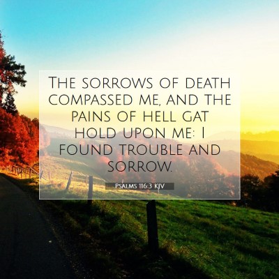 Picture 07 - Psalms 116:3 KJV - The sorrows of death compassed me, and the pains - Bible Verse Picture