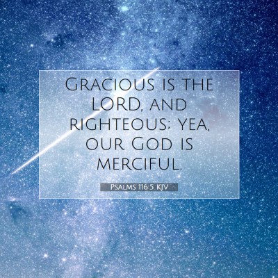 Picture 07 - Psalms 116:5 KJV - Gracious is the LORD, and righteous; yea, our God - Bible Verse Picture
