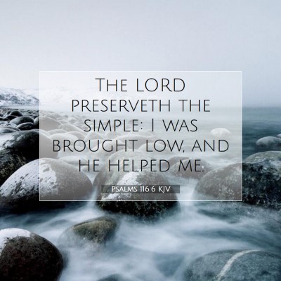 Picture 07 - Psalms 116:6 KJV - The LORD preserveth the simple: I was brought - Bible Verse Picture