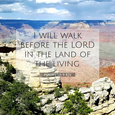 Picture 07 - Psalms 116:9 KJV - I will walk before the LORD in the land of the - Bible Verse Picture