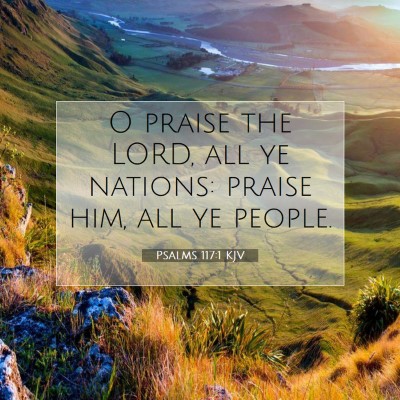 Picture 07 - Psalms 117:1 KJV - O praise the LORD, all ye nations: praise him, - Bible Verse Picture