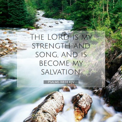 Picture 07 - Psalms 118:14 KJV - The LORD is my strength and song, and is become - Bible Verse Picture