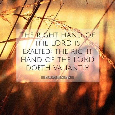 Picture 07 - Psalms 118:16 KJV - The right hand of the LORD is exalted: the right - Bible Verse Picture