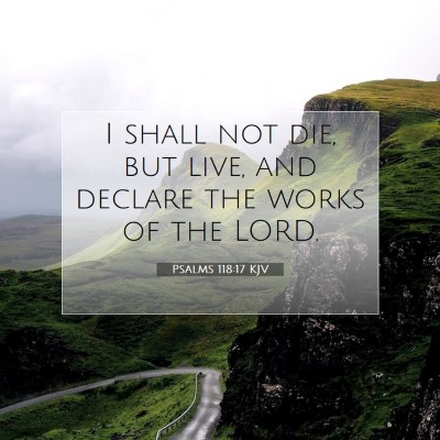 Picture 07 - Psalms 118:17 KJV - I shall not die, but live, and declare the works - Bible Verse Picture