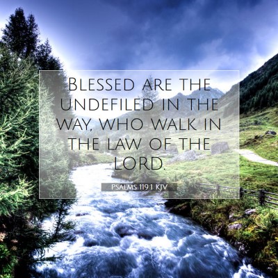 Picture 07 - Psalms 119:1 KJV - Blessed are the undefiled in the way, who walk in - Bible Verse Picture
