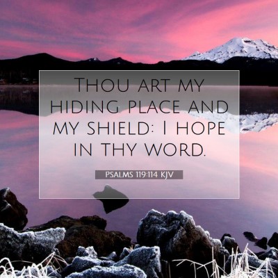 Picture 07 - Psalms 119:114 KJV - Thou art my hiding place and my shield: I hope in - Bible Verse Picture